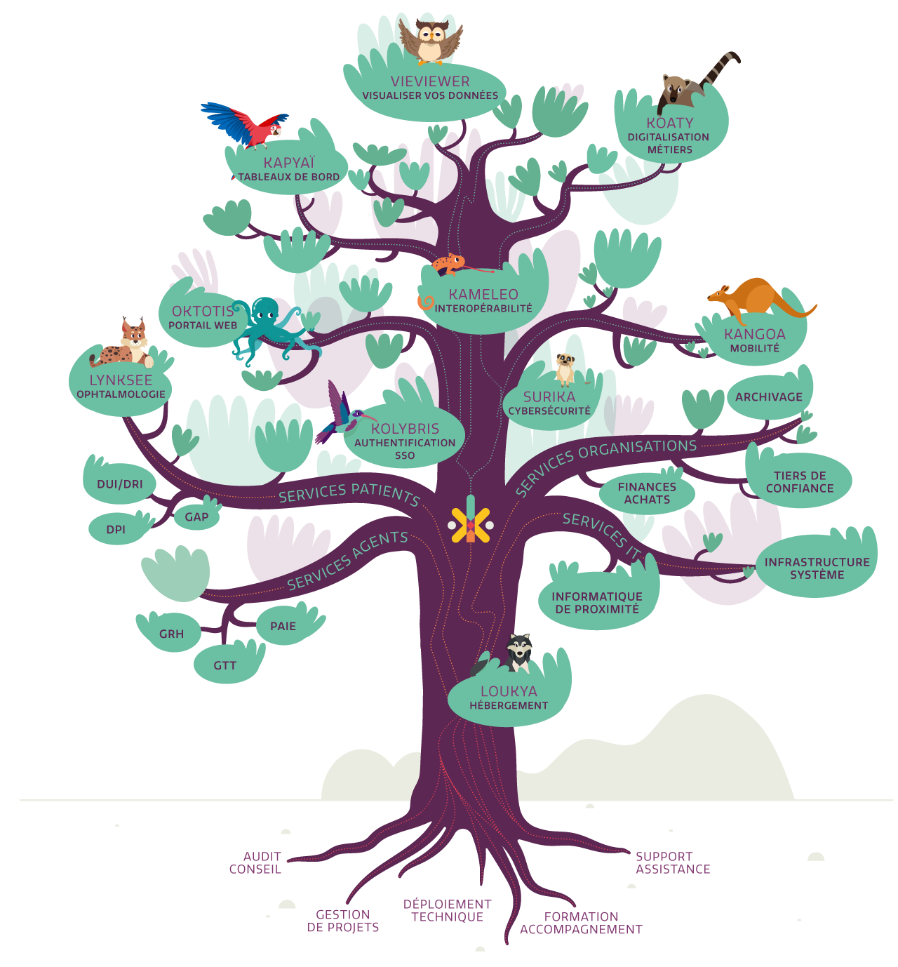 arbre kauri