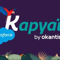 visuel-kapyaï